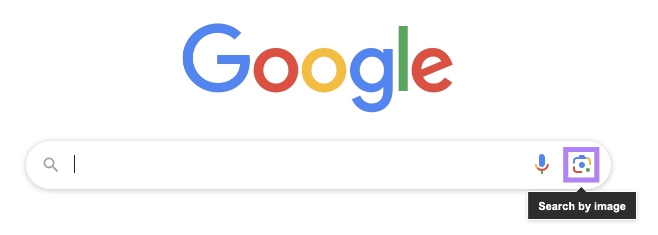 Tthe camera icon on the Google search bar highlighted